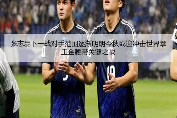 张志磊下一战对手范围逐渐明朗今秋或迎冲击世界拳王金腰带关键之战
