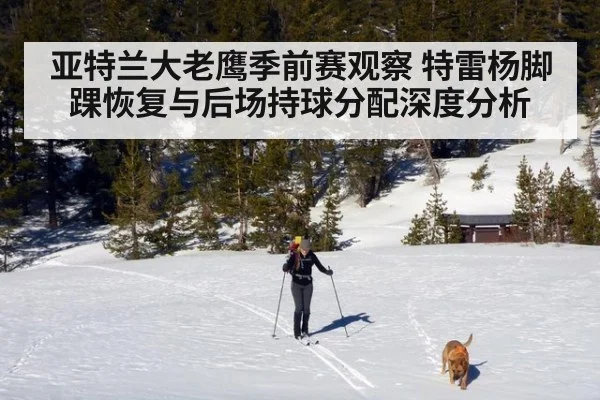 亚特兰大老鹰季前赛观察 特雷杨脚踝恢复与后场持球分配深度分析